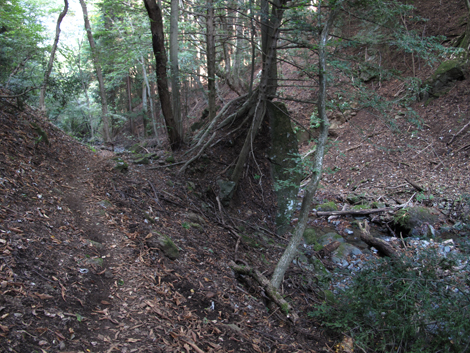 20151014hike (315)
